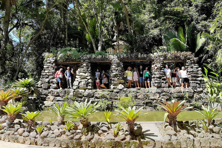 Tropical Wonders: Discover Rio's Jardim Botânico & Tijuca