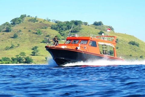 Komodo Inseln: 2D1N Speedboat Tour und Hotelaufenthalt