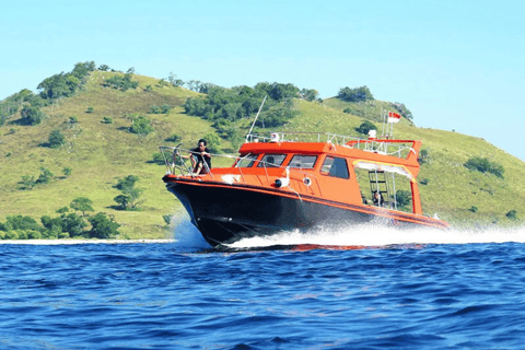 Komodo Islands: 2D1N Speedboat Tour and Hotel Stay Komodo Islands: 2D1N speedboat tour and hotel stay