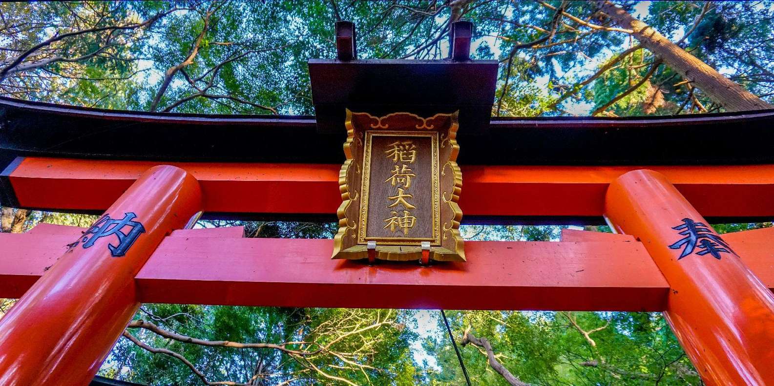 Kyoto experience — temples, geisha, bamboo grove — image 34