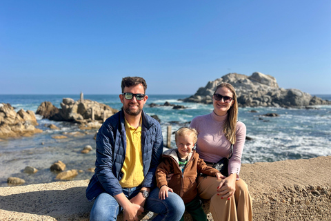 From Santiago: Full-Day Tour of Viña del Mar and Valparaiso