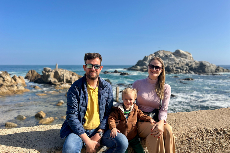 From Santiago: Full-Day Tour of Viña del Mar and Valparaiso