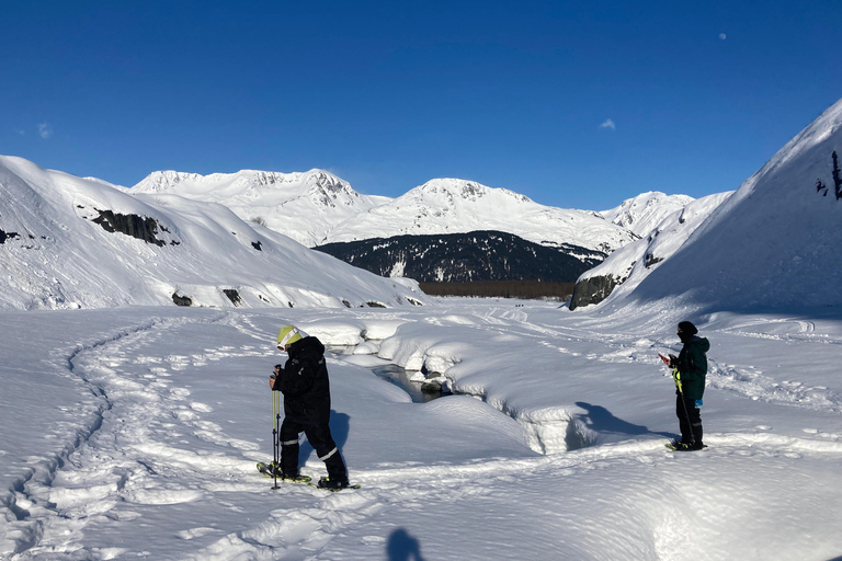 Guided Snowshoeing Adventure from Seward, Alaska 6-Hour Tour