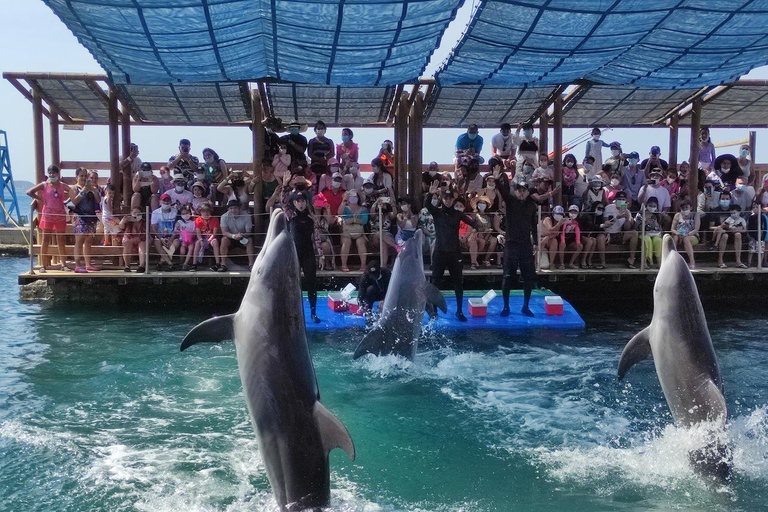 SANTAMARTA: TOUR Combo taximarino, acuario, almuerzo y playa blanca