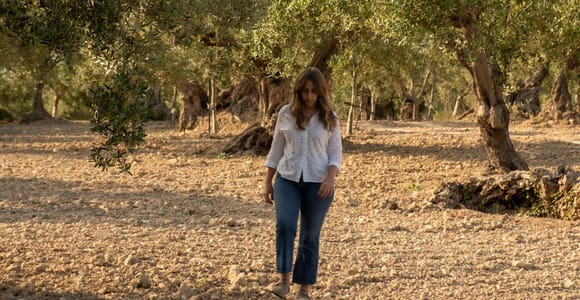 Licata, Agrigento: Olive Grove Tour with Oil Tasting & Food