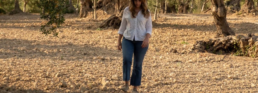 Visite d'une oliveraie, dégustation d'huile et nourriture à Licata, Agrigente