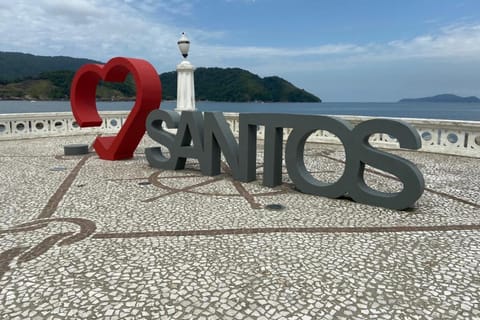 Santos and Guaruja Full Day Experience from São Paulo