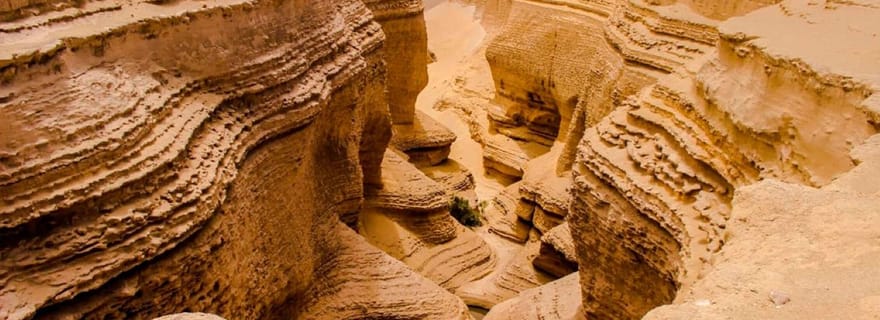 Depuis Ica || Excursion d'une journée au Canyon de Los Perdidos ||