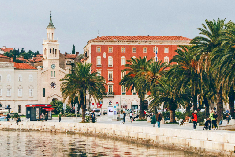 Split: Diocletianus palats och Gamla stan Guidad promenad tur