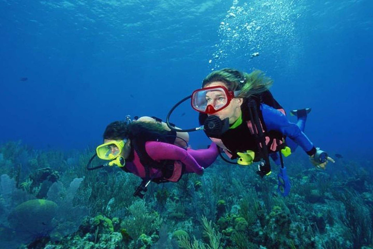 Side: Underwater Museum Scuba Diving Tour with Expert Diving Museum Scuba Diving Tour with Hotel Transfer