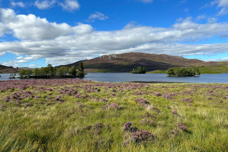 Loch Ness: Half-Day Circular Private Tour Private Vehicle 5-7 Passengers