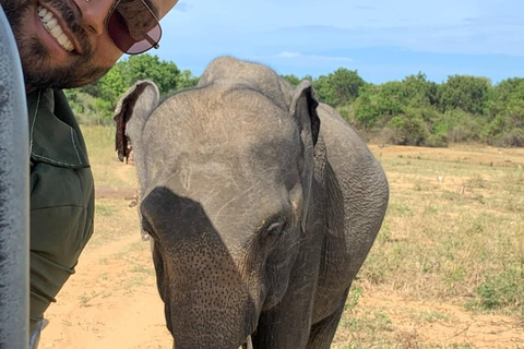 Safari dans le parc national d'Udawalawe au départ de Mirissa