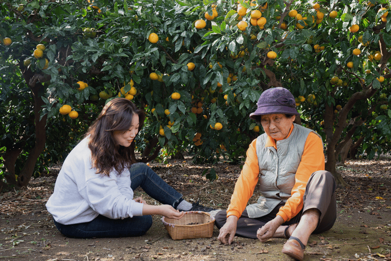 Jeju: UNESCO-Listed Southern Authentic Day Tour