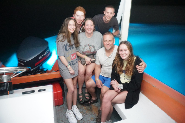 From Montego Bay: Luminous Lagoon Bioluminescent Tour