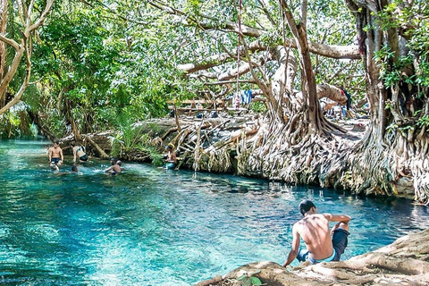 Zanzibar : visite de la forêt de Jozani et de la ferme d'épices avec transfertZanzibar : visite de la forêt de Jozani et d'une plantation d'épices avec transfert