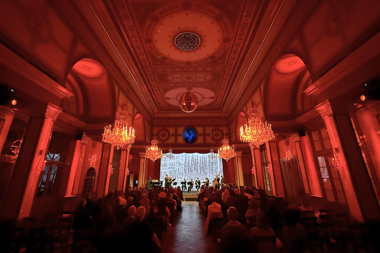 Vienna: concerto di Strauss dal vivo con cantante, orchestra e spettacolo di luciCategoria VIP: 1 - Seconda fila (incluso libretto del programma del concerto)