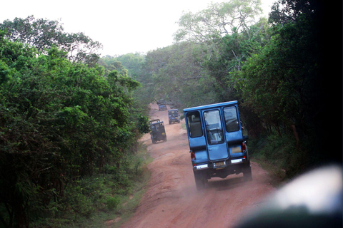 All Inclusive Yala Leopard Safari from Colombo, Ella & Galle