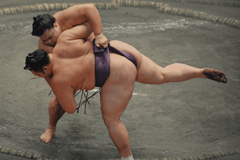 Grand Sumo September Tournament Tour Tokyo