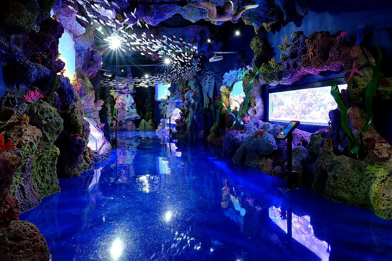 Jakarta Aquarium & Safari Entrance Ticket Regular Entrance Ticket Only