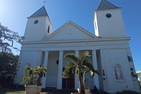 Wyspa Reunion: Świątynie i religie Wycieczka półdniowaChińskojęzyczny kierowca/przewodnik