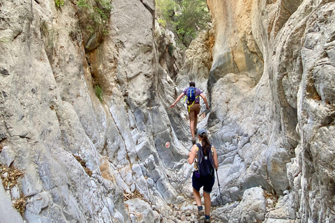 Creta: Tour guiado de senderismo por el Cañón de Kritsa