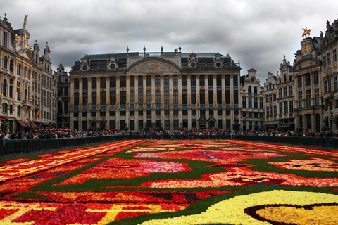 Depuis Amsterdam : visite d&#039;une journée en petit groupe à Bruxelles et à l&#039;Atomium