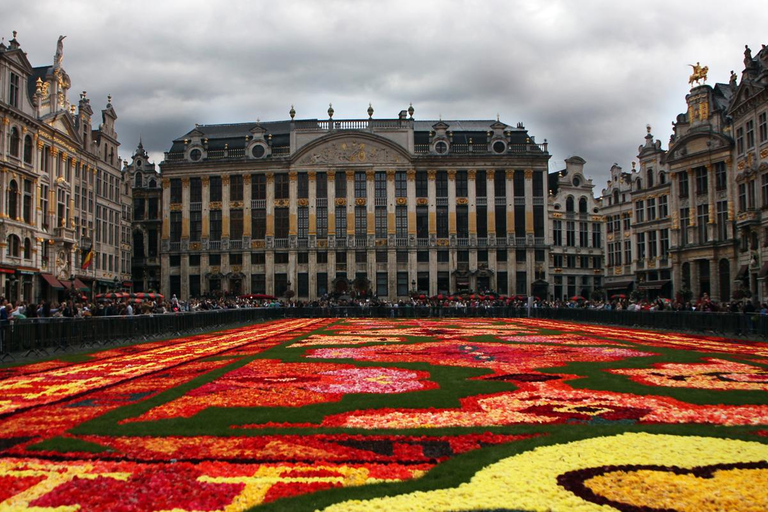Depuis Amsterdam : visite d&#039;une journée en petit groupe à Bruxelles et à l&#039;Atomium