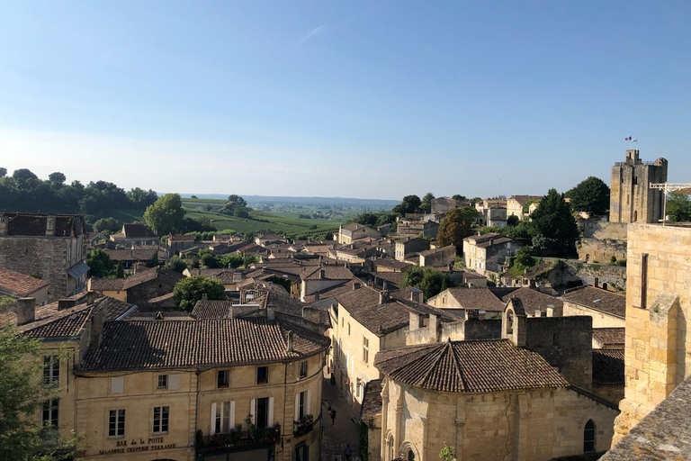 Da Bordeaux: Tour di mezza giornata del vino di Saint-EmilionSaint-Émilion: Tour di mezza giornata a piedi per il vino