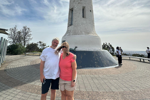 Vanuit Adelaide: Knuffel een Koala en historische Hahndorf Tour