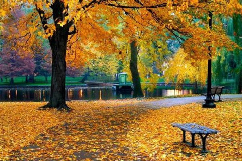 Bukarest: Gastronomisk och kulturell rundtur med 3 måltider