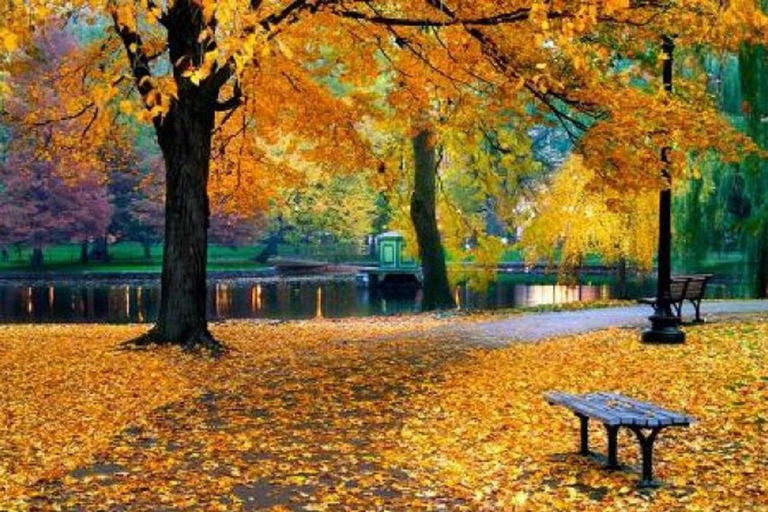 Bukarest: Gastronomisk och kulturell rundtur med 3 måltider