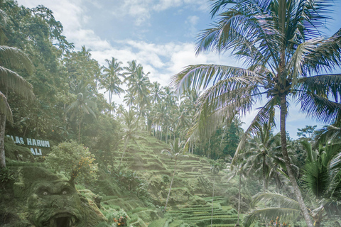 Ubud: Alas Harum Day-Pass with Swing, Sky Bike &amp; Flying FoxEntrance + 1 Swing + 1 Flying Fox/Skybike