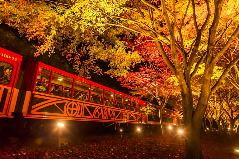 Kyoto: Arashiyama, Sanzen-in & Kifune Shrine Day Trip Departure from Osaka (Basic Package)