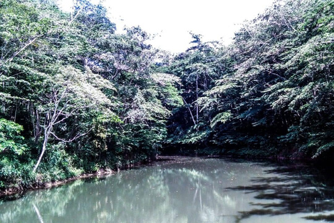 De Kandy a Kitulgala: Emocionante excursión de un día en balsa con Indika