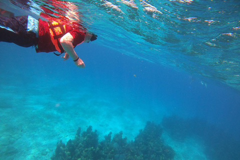 Isla Mujeres: Snorkeling Adventure at the Underwater Museum Isla Mujeres: Snorkeling Tour at the Underwater Museum