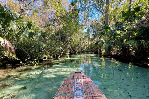 Florida: VIP Wild Florida Kayak Adventure VIP Wild Florida Kayak Adventure - Single Kayak