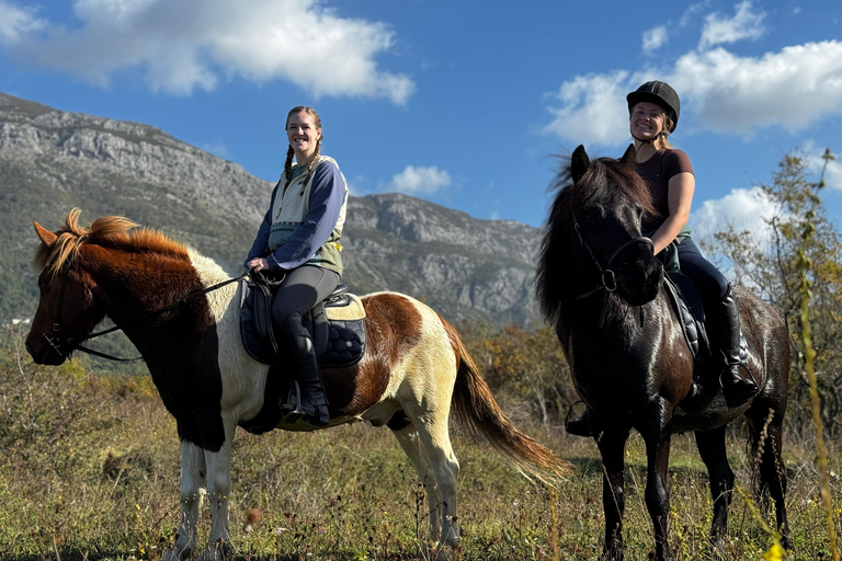 Dubrovnik: Horse Riding with local guide - beginner friendly