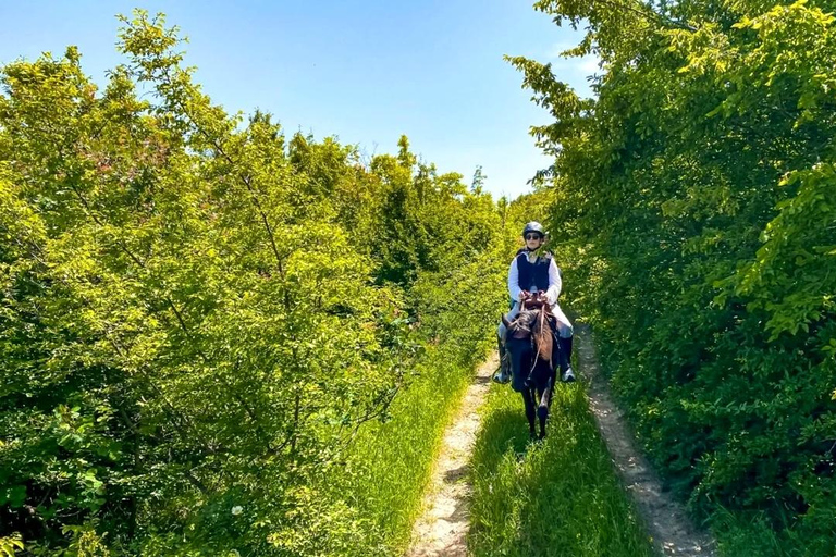 Horseback Riding & Historical Tour to Mtskheta and Jvari