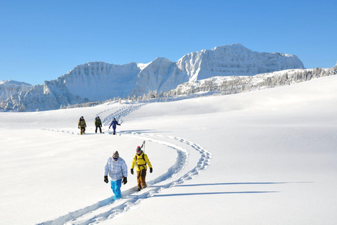 حديقة بانف الوطنية: تجربة المشي بالأحذية الثلجية في صن شاين ميدوز