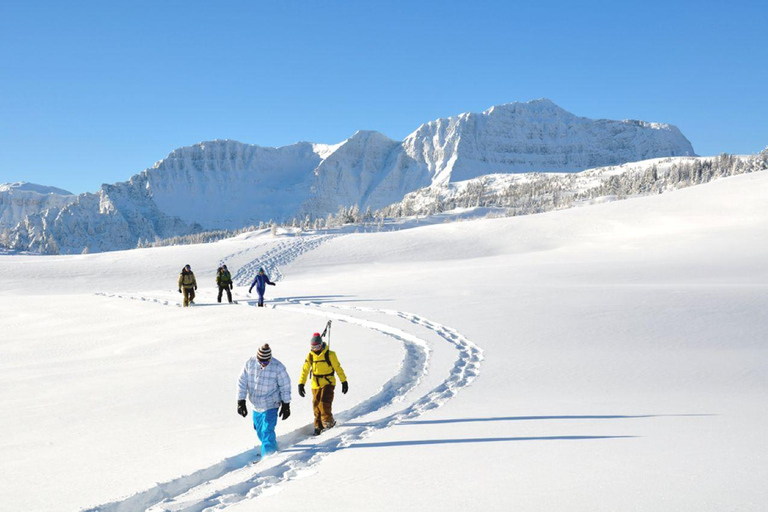 حديقة بانف الوطنية: تجربة المشي بالأحذية الثلجية في صن شاين ميدوز