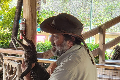 Visita os Everglades em francês a partir de Orlando e arredoresVisita aos Everglades em francês a partir de Orlando ou dos arredores