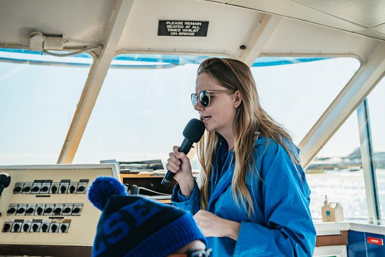 Excursión de 2,5 horas de avistamiento de ballenas Spirit of Gold Coast