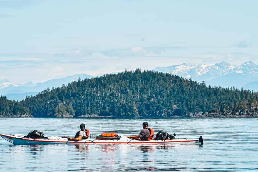 Telegraph Cove: 2-stündige Kajaktour am Tag oder Abend. Foto: GetYourGuide