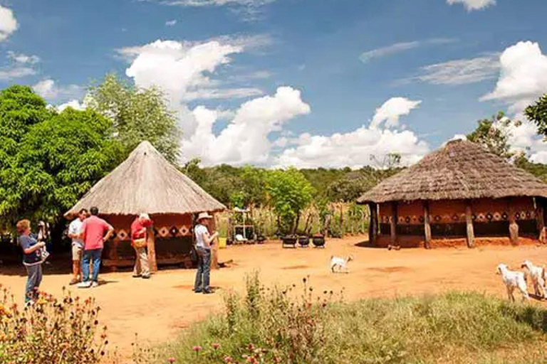 Livingstone: Chobe Safari, Crocodile viewing & Village Tour