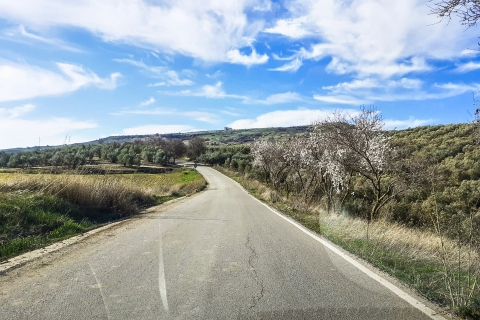 Costa del Sol and Malaga: Ronda and Setenil de las Bodegas Pickup from Fuengirola Bus Station