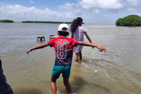 From Negombo: Boat Tour of Negombo Lagoon
