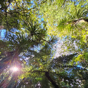 *Popular Tour* - Bay of Islands: Nature Adventure Tour