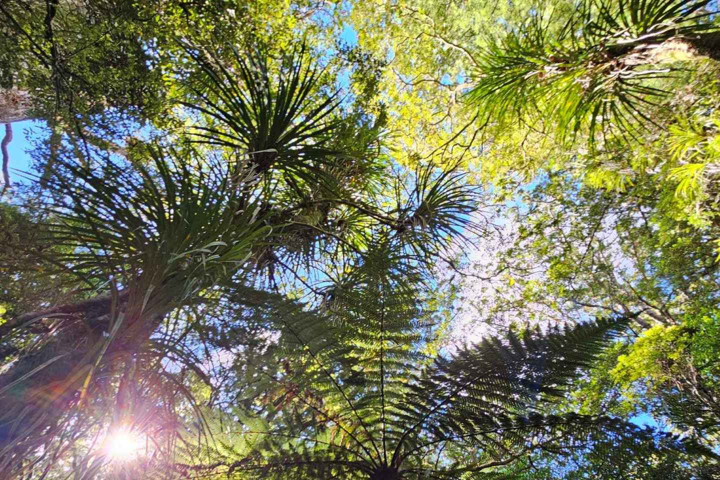 *Popular Tour* - Bay of Islands: Nature Adventure Tour - *Popular Tour* - Bay of Islands: Nature Adventure Tour