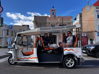 Valencia, Tuk Tuk Stadtrundfahrt - Hizvo