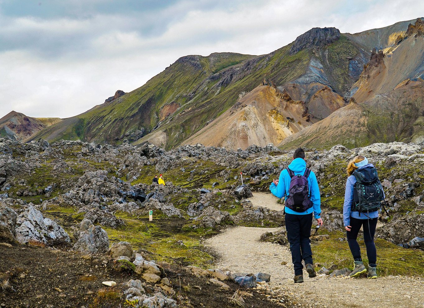 Fra Reykjavík: Dagsvandring i Landmannalaugar